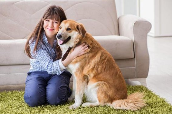 主人的拼音是什么写的