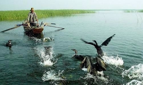 概括白洋淀边的一次小斗争