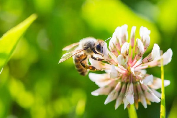为谁辛苦为谁甜全诗