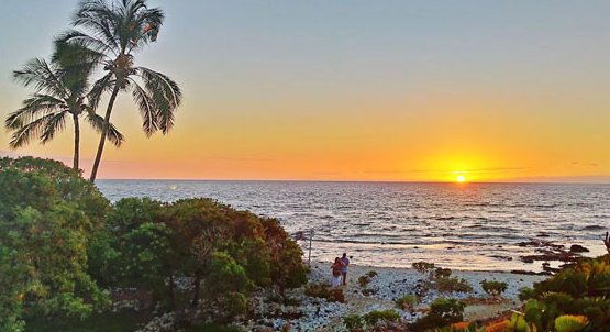 hawaii是什么意思?