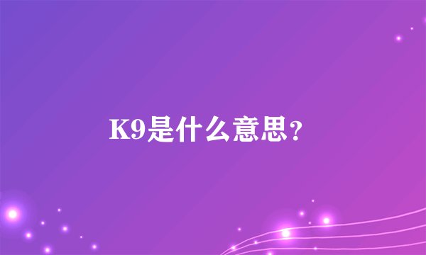 K9是什么意思？