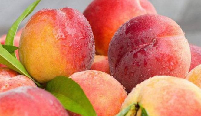 MOMO是什么意思？