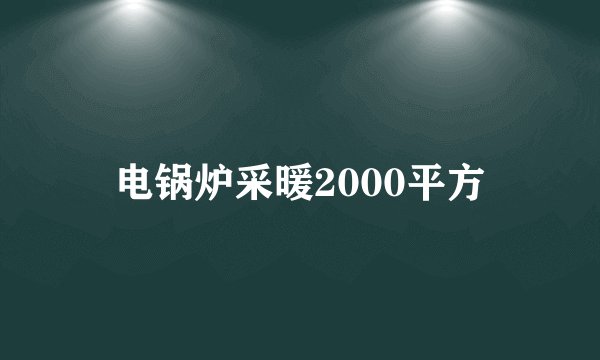 电锅炉采暖2000平方