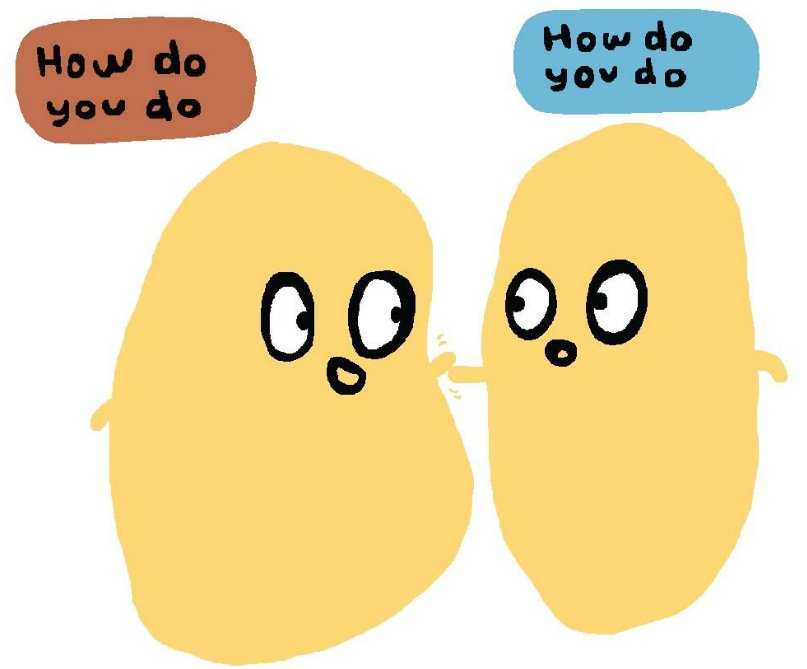 how do you do什么意思/什么用法？