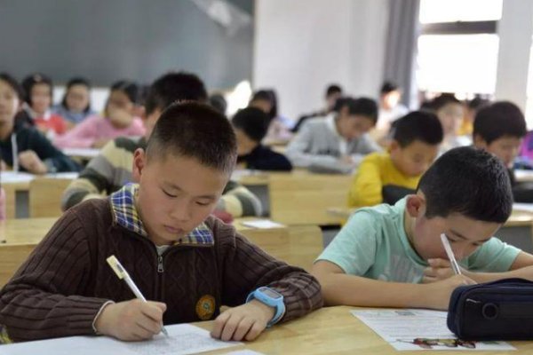 打烂菊花放生姜的作文怎么写