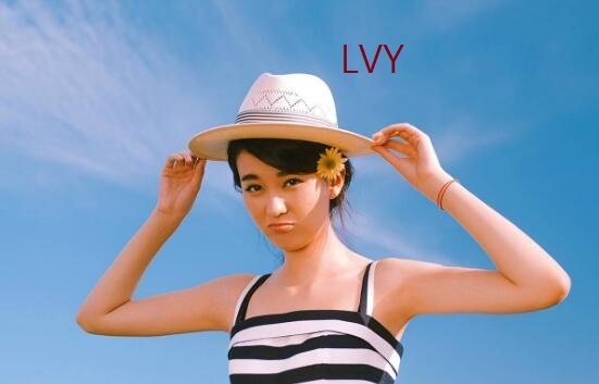 LVY是什么意思？