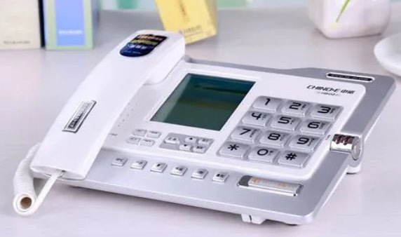 0769区号是哪里的