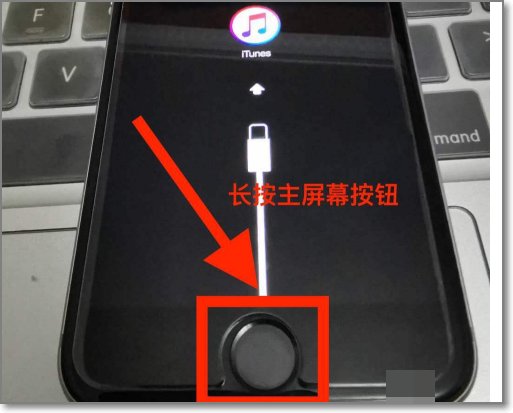 苹果手机出现itunes怎么解开