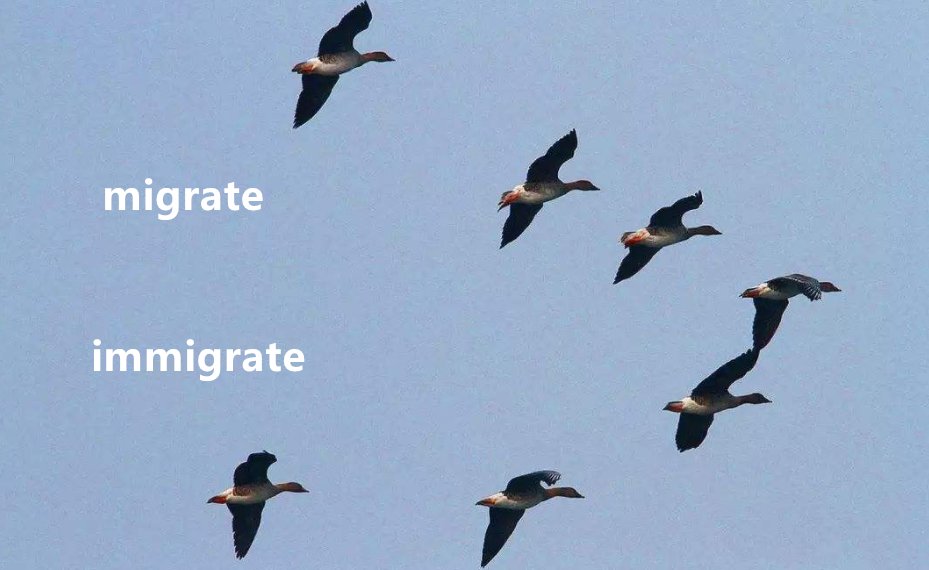migrate和immigrate的区别是什么？