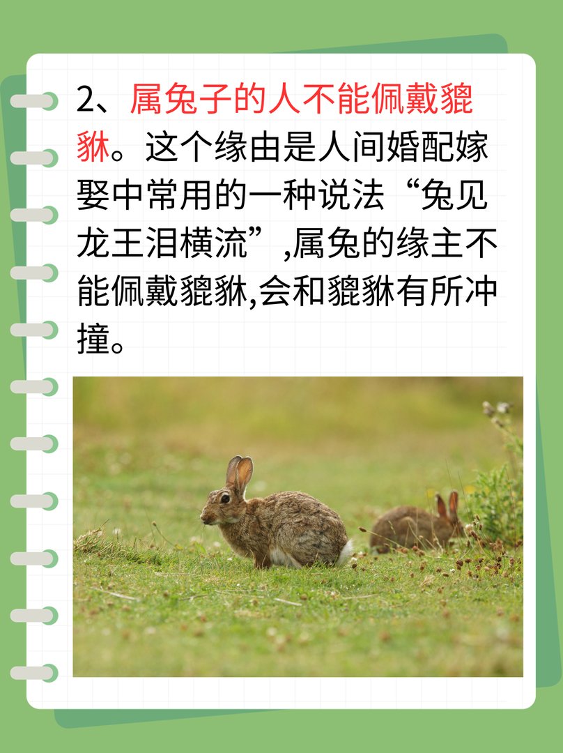 三种属相不能戴貔貅