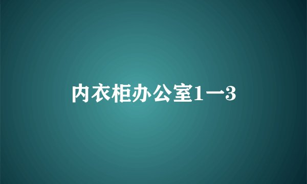 内衣柜办公室1一3