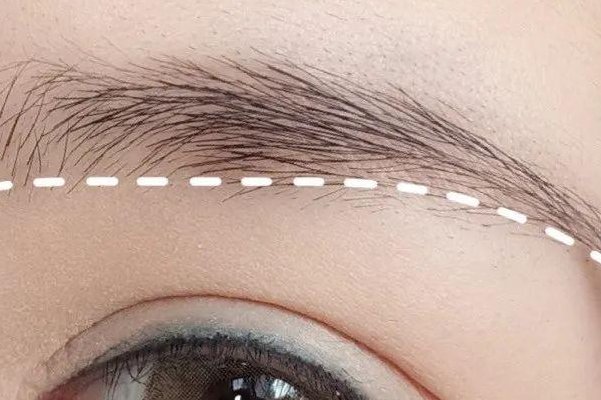 古人将哪个器官称为七情之虹