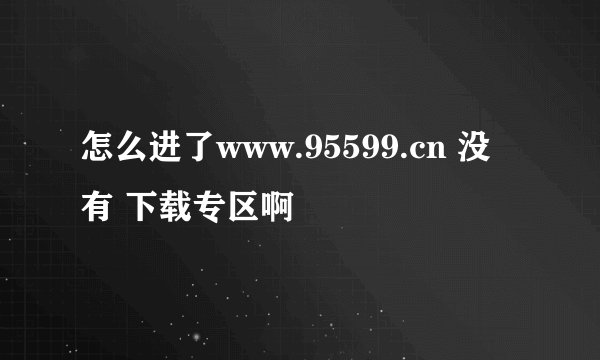 怎么进了www.95599.cn 没有 下载专区啊
