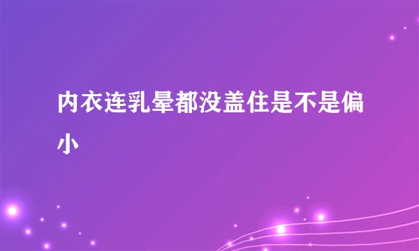 内衣连乳晕都没盖住是不是偏小