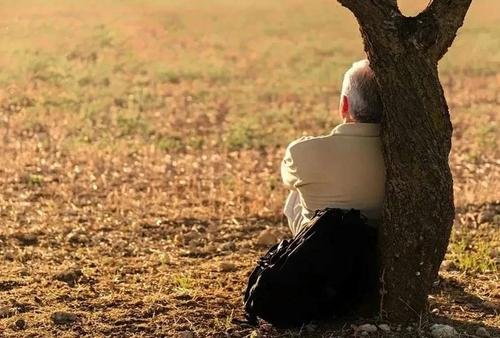 怎样理解“依靠”这个词？