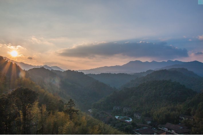 古代专门管理山林的官职蚂蚁