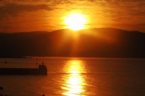 英文11月8日怎么写？