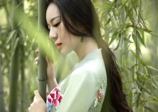 伊人是什么意思