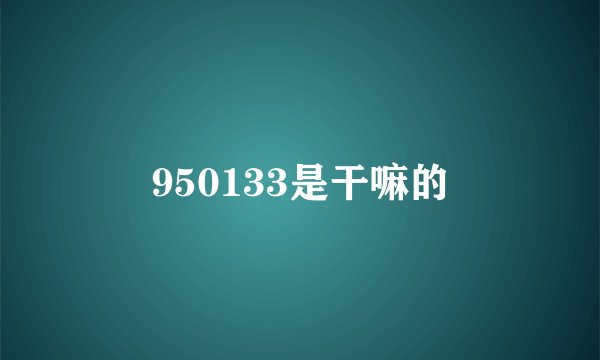 950133是干嘛的