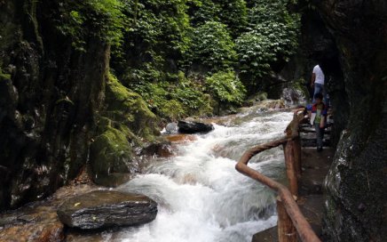 牺牲地质人员杨敏最后一条朋友圈被曝,其内容究竟是什么?