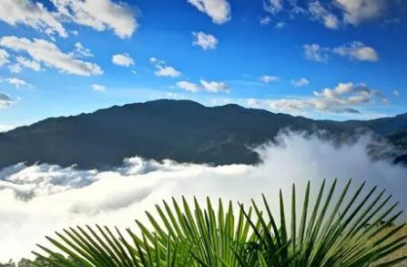 牺牲地质人员杨敏最后一条朋友圈被曝,其内容究竟是什么?