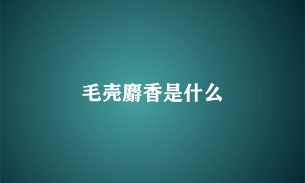 毛壳麝香是什么