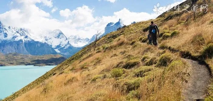 正山小种的贮存方法及注意事项