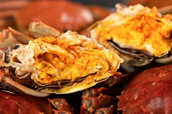 螃蟹怎么保存才新鲜