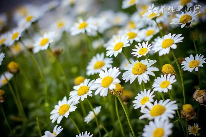 视觉暂留时间为多长