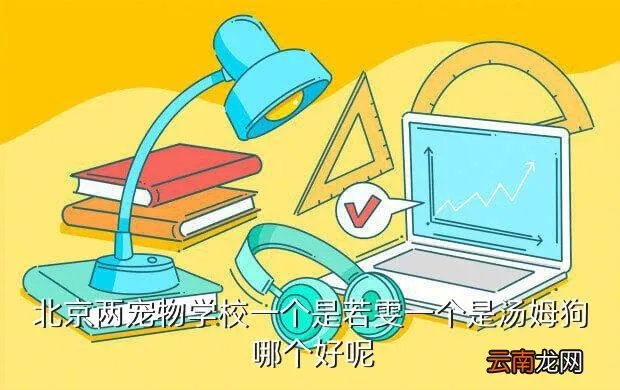 北京若雯宠物美容学校,有经验的朋友给我介绍个宠物美容学校