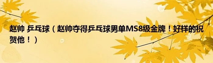 赵帅 乒乓球（赵帅夺得乒乓球男单MS8级金牌！好样的祝贺他！）