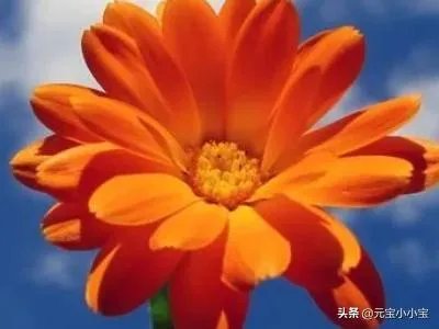 今年夏天又四十度了什么意思？