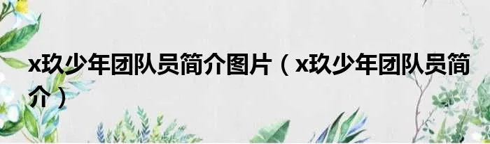 x玖少年团队员简介图片（x玖少年团队员简介）