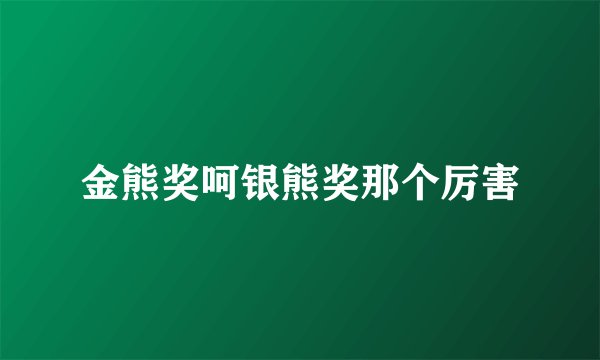 金熊奖呵银熊奖那个厉害