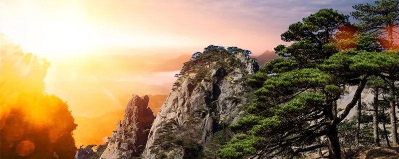 岱宗是指哪座山 岱宗是哪个山