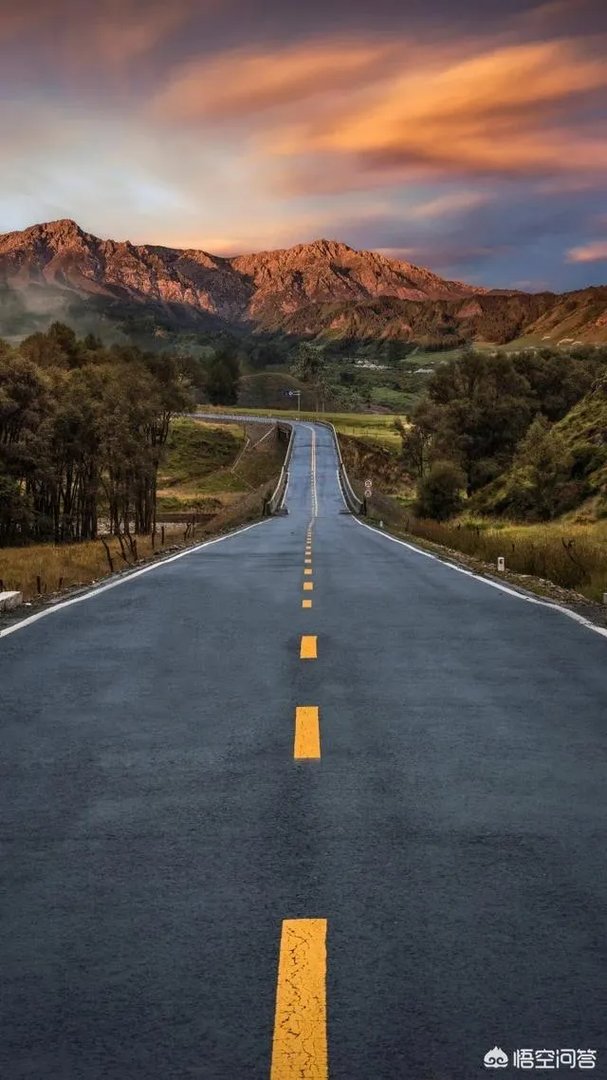 手机可以看的无广告视频网站