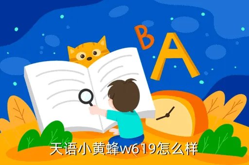 小黄蜂w619,小黄蜂w619怎么样