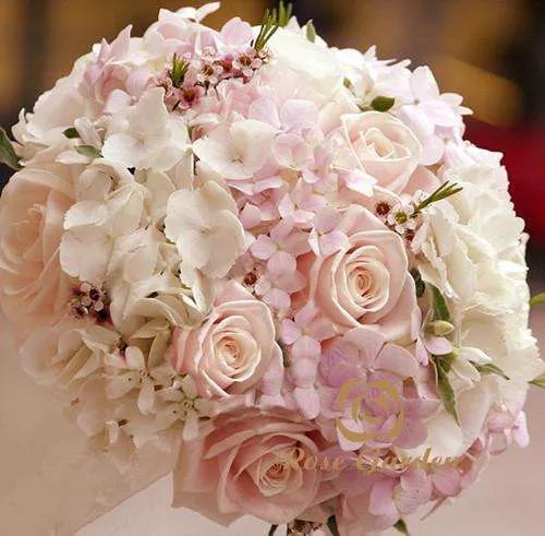 99朵玫瑰花语是什么 玫瑰花语每朵代表什么