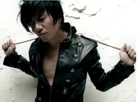 《我想知道流星能飞多久》这歌唱是那首歌的？