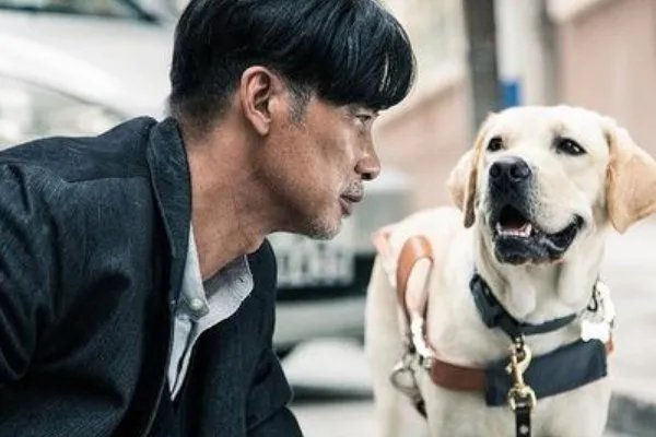 如何评价电影《小Q》？