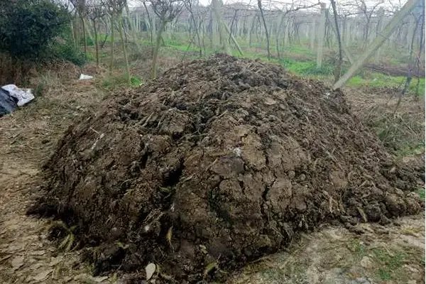 家庭自制有机肥发酵方法大全