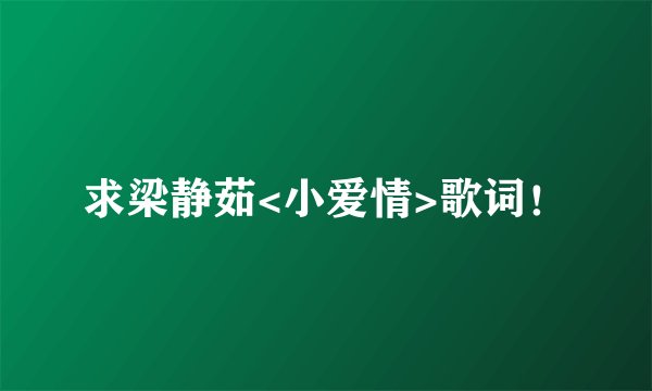 求梁静茹<小爱情>歌词！