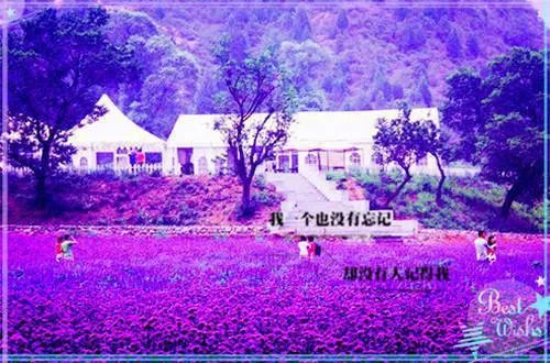 李潇林晓夏(耗尽好运遇见你)全文免费阅读_李潇林晓夏最新章节列表（耗尽好运遇见你）