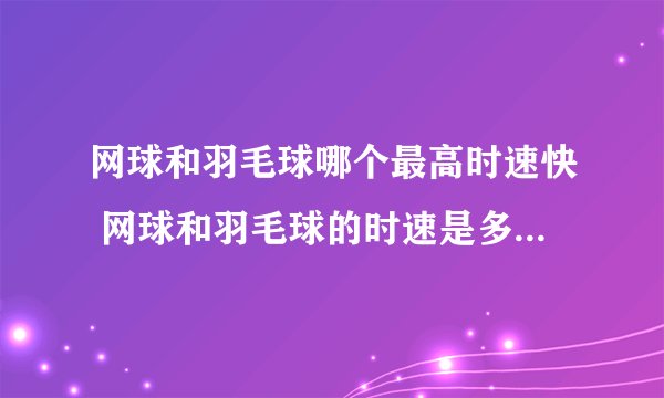 网球和羽毛球哪个最高时速快 网球和羽毛球的时速是多少_飞外经验