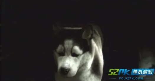 英少年与鳄鱼同游 盘点游戏中的动物伙伴