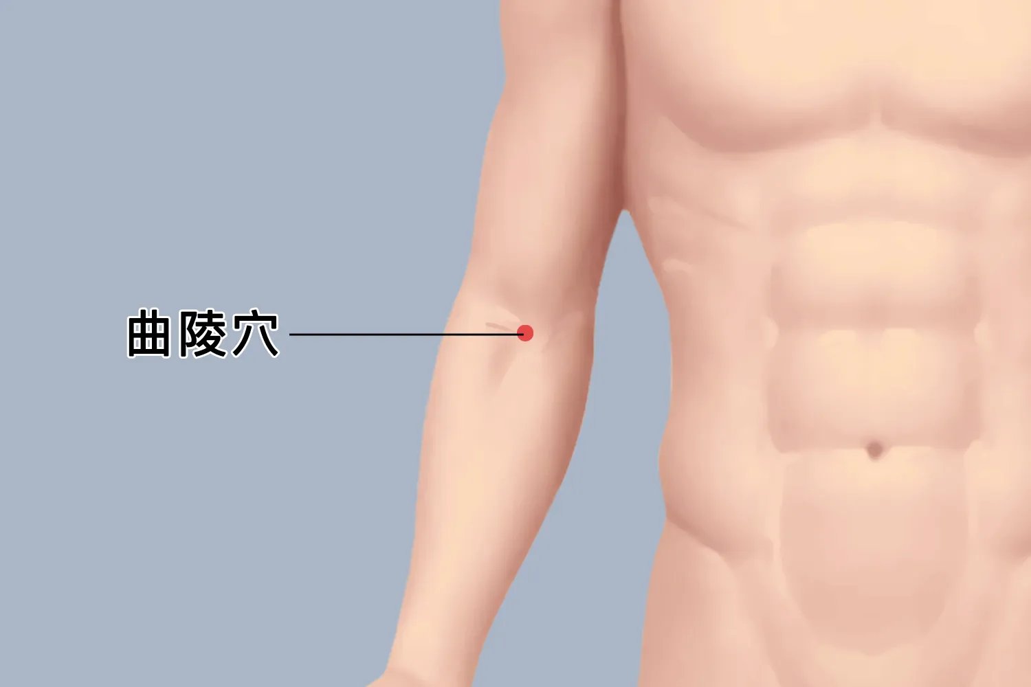 曲陵的准确位置图和作用