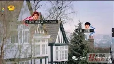 井柏然为什么要删掉跟郑爽有关的微博?