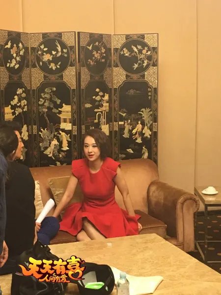 《天天有喜》发布会 陈浩民穆婷婷结姻缘