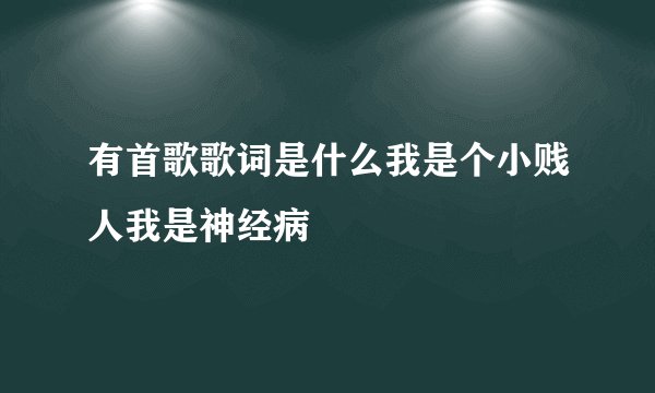 有首歌歌词是什么我是个小贱人我是神经病