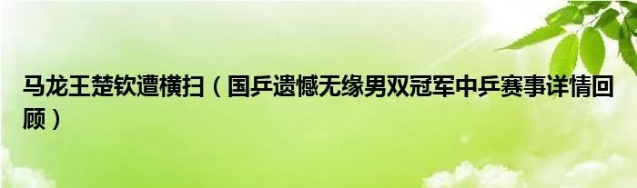 马龙王楚钦遭横扫（国乒遗憾无缘男双冠军中乒赛事详情回顾）